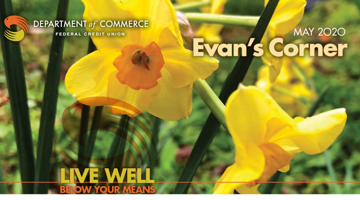 Evan's Corner May 2020 - Daffodils