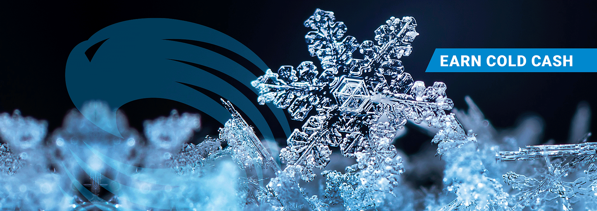 DOCFCU-HEROBanner-12-2025-PerfChecking-1920wX680h-v1