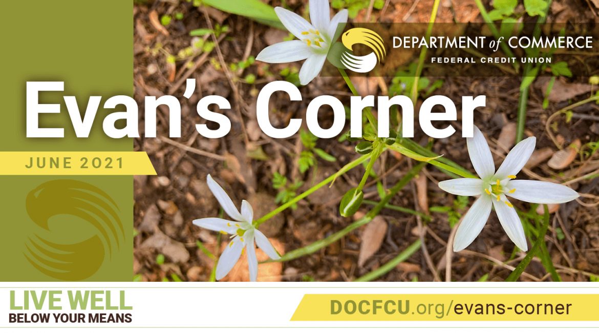 DOCFCU Evan's Corner June 2021 - Read it Now