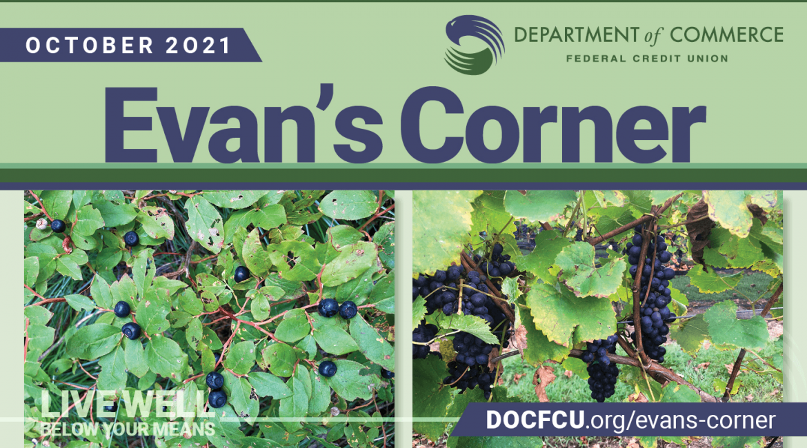 Evan's Corner October 2021 ISSUE - DOCFCU - Read It
